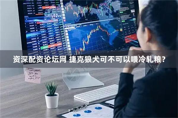 资深配资论坛网 捷克狼犬可不可以喂冷轧粮？